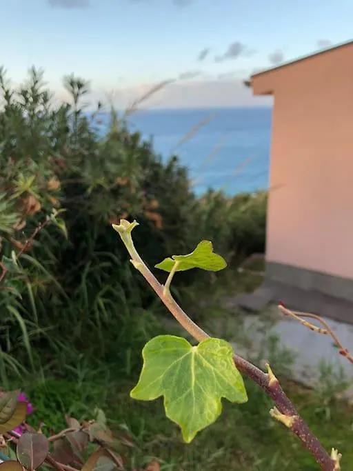 Apartamento Casa Spisidda Appartamento Monolocale 