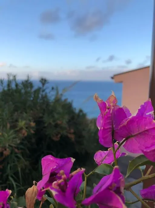 Casa Spisidda Appartamento Monolocale 
