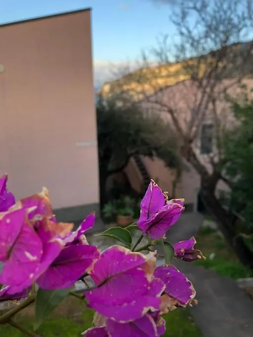 Apartamento Casa Spisidda Appartamento Monolocale 